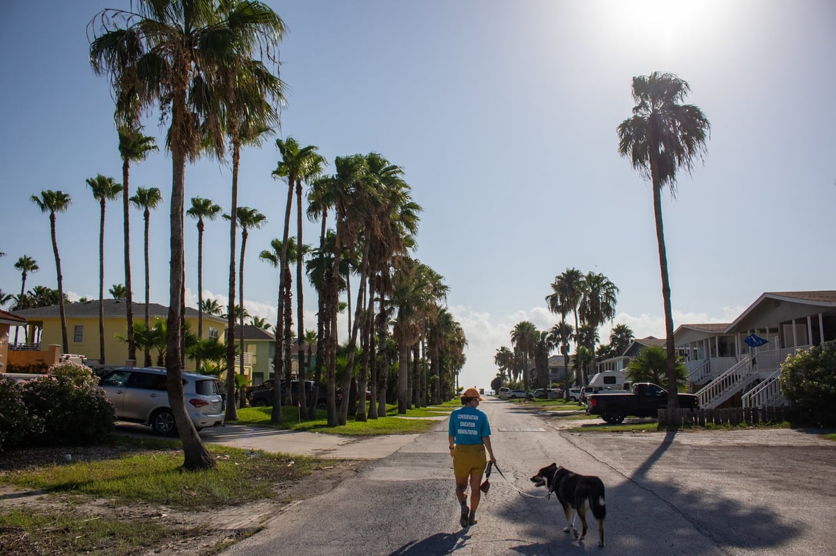 end of day walk home