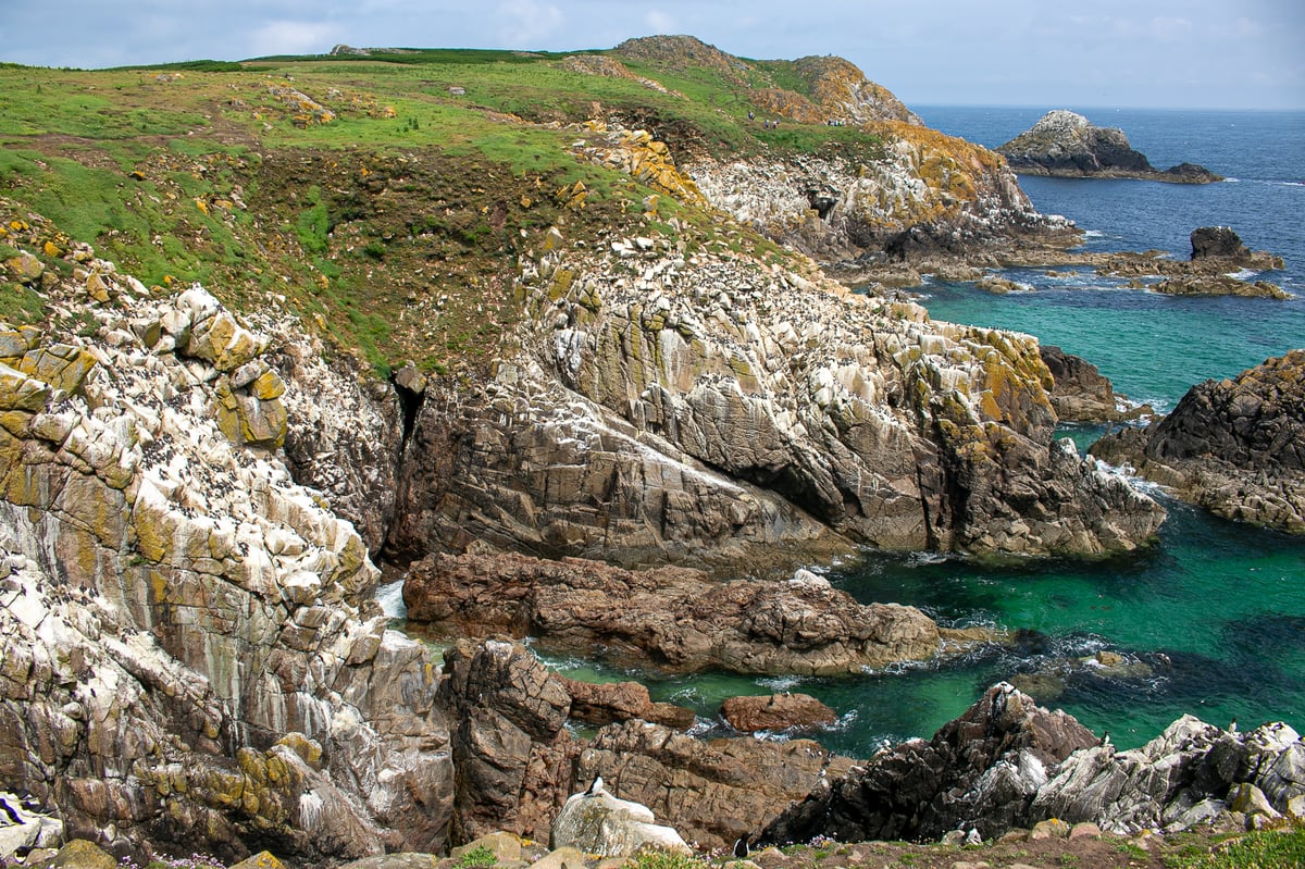 great saltee island
