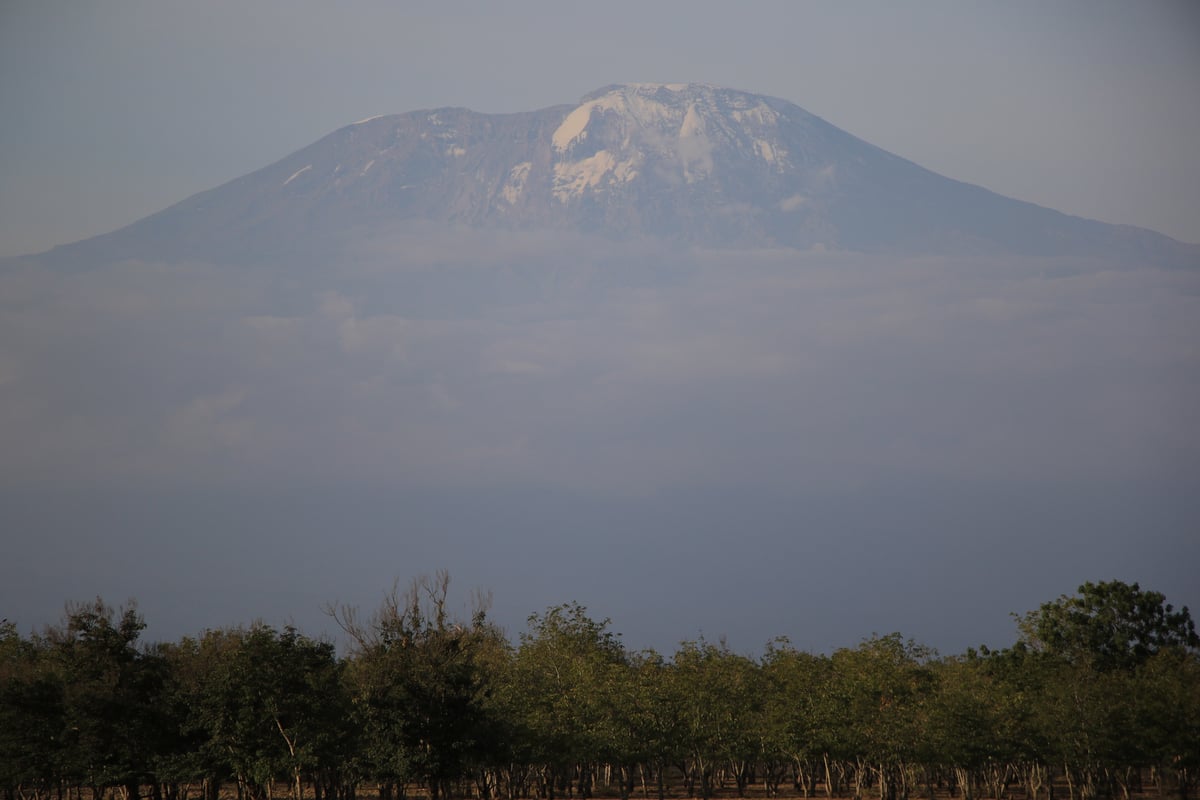 mount kilimanjaro