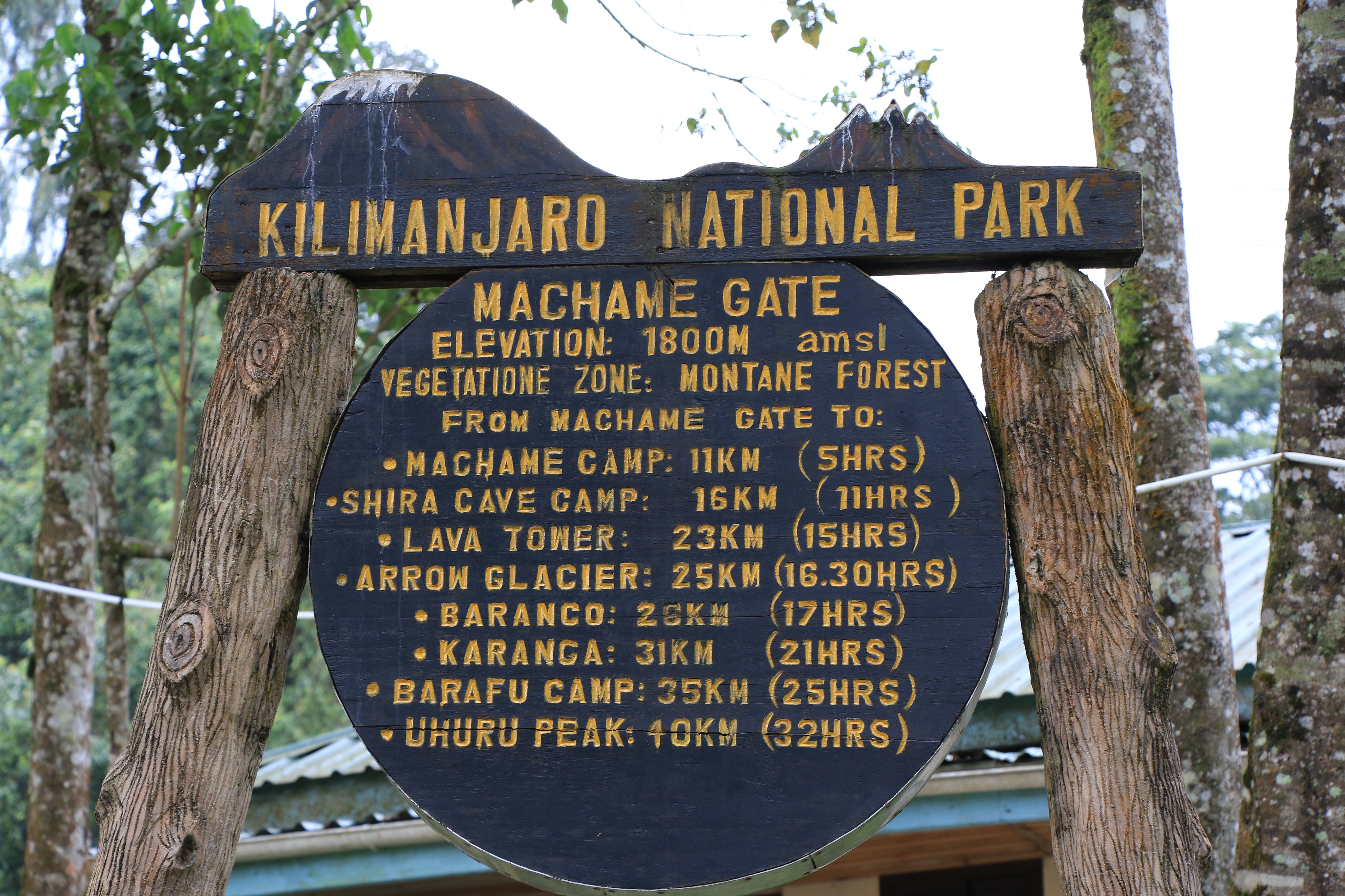 mount kilimanjaro