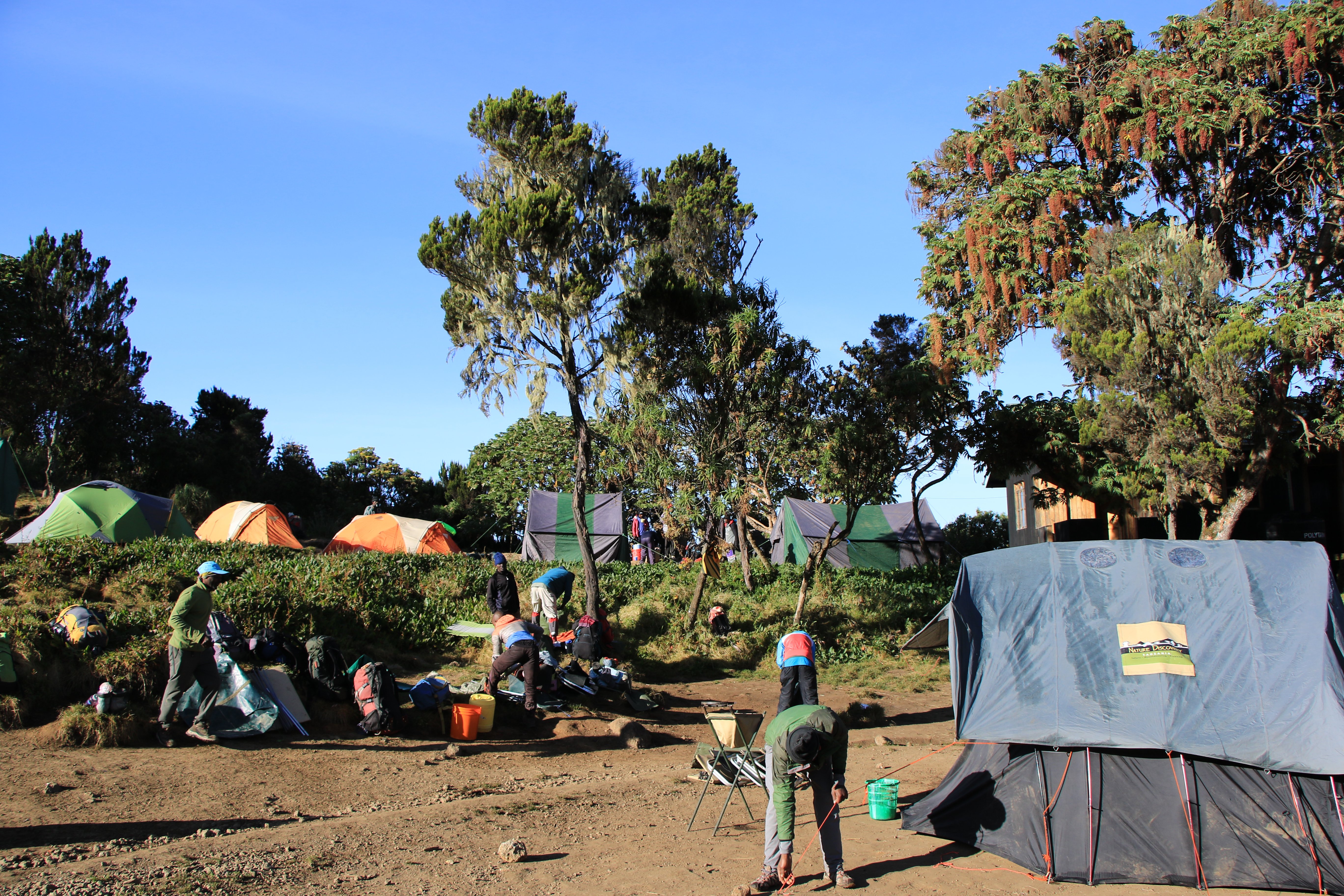 mount kilimanjaro