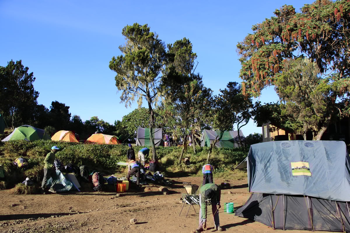mount kilimanjaro