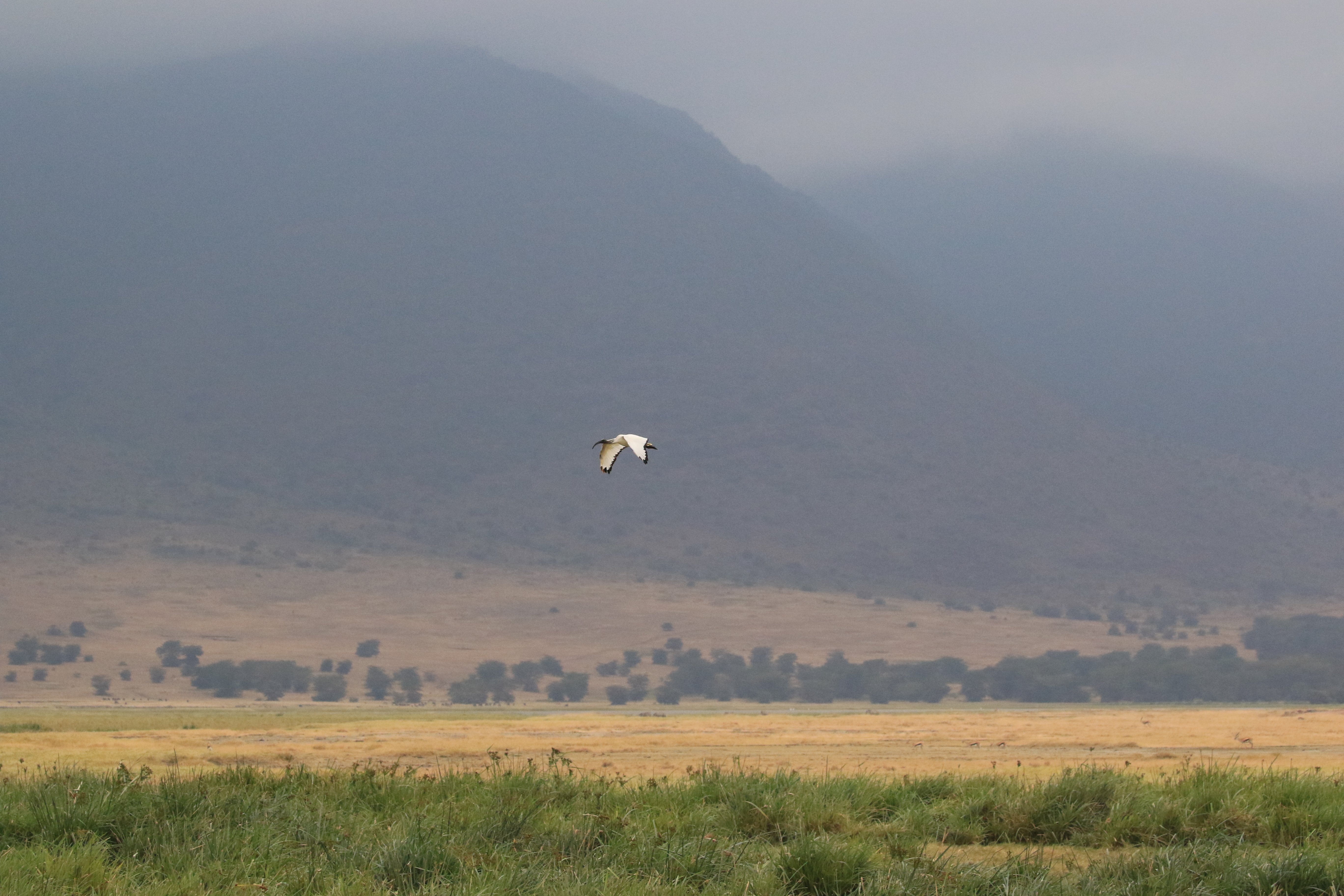 ngorongoro crater
