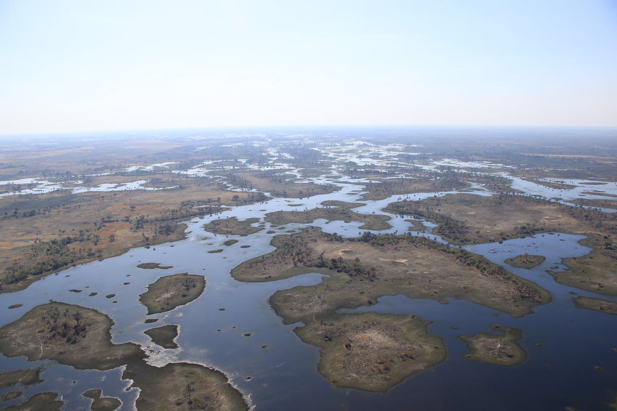 aerial Okavango delta landscape