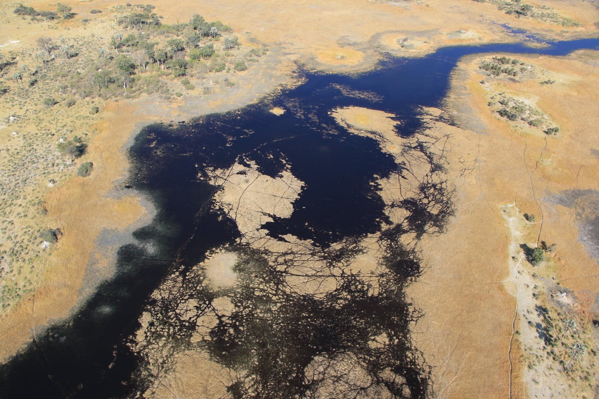 aerial Okavango delta landscape