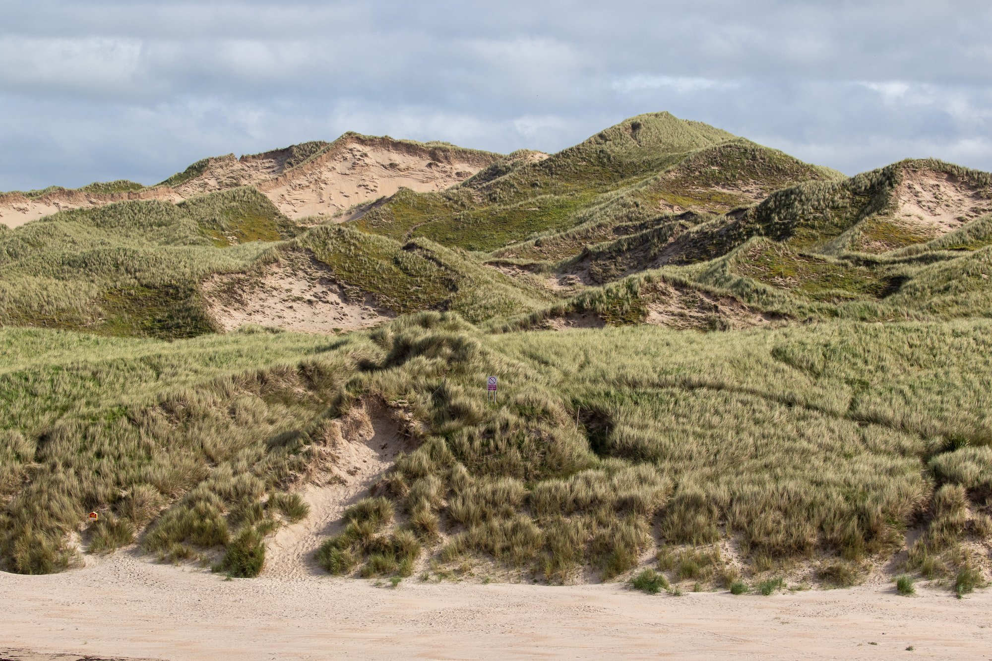 dunes